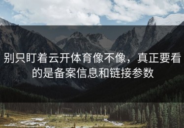 别只盯着云开体育像不像，真正要看的是备案信息和链接参数