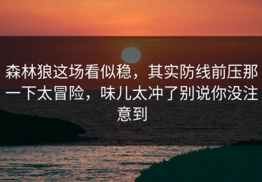 森林狼这场看似稳，其实防线前压那一下太冒险，味儿太冲了别说你没注意到