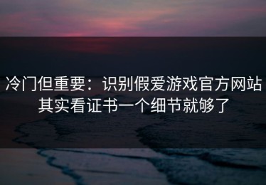 冷门但重要：识别假爱游戏官方网站其实看证书一个细节就够了