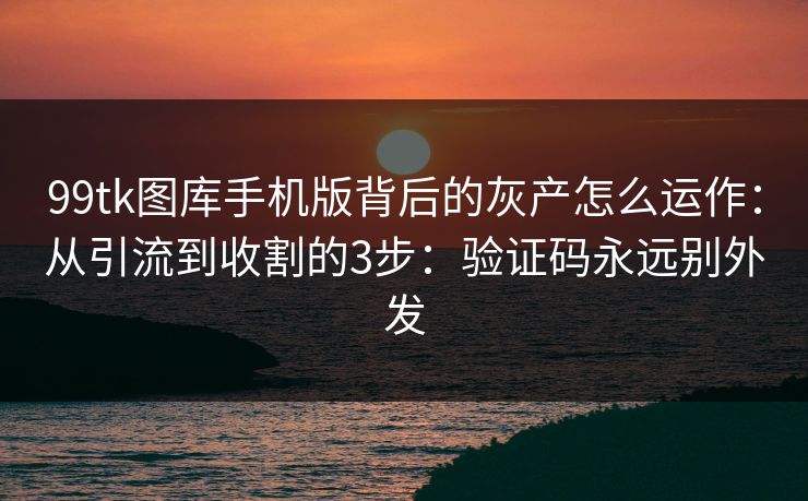 99tk图库手机版背后的灰产怎么运作：从引流到收割的3步：验证码永远别外发
