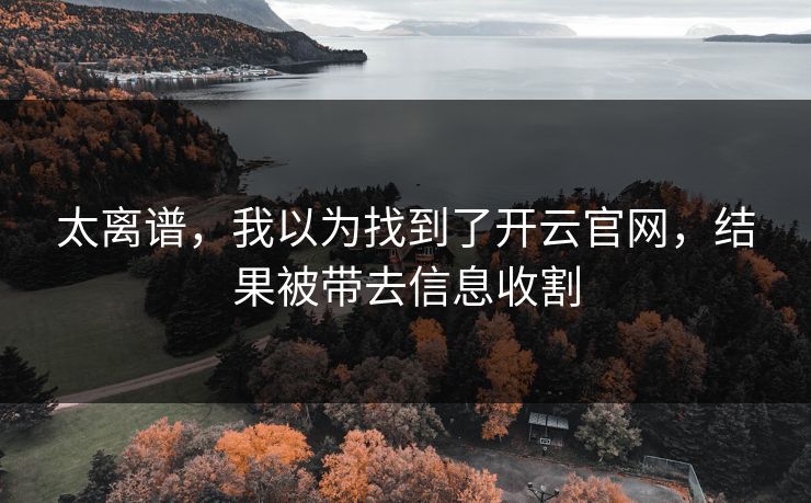 太离谱,我以为找到了开云官网,结果被带去信息收割 太离谱,我以为找到了开云官网,结果被带去信息收割