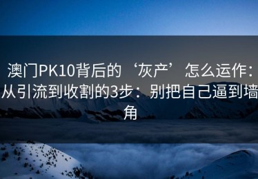 澳门PK10背后的‘灰产’怎么运作：从引流到收割的3步：别把自己逼到墙角